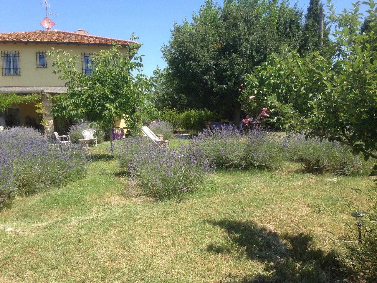 Agriturismo Papageno Rignano sullʼArno エクステリア 写真
